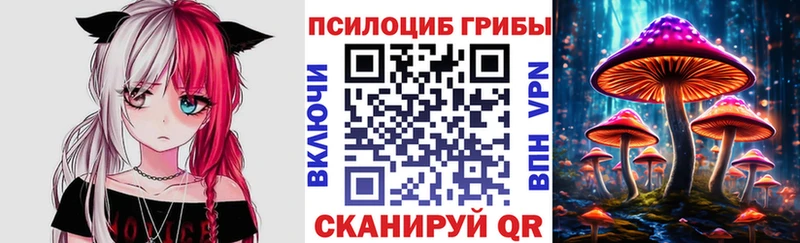 Псилоцибиновые грибы Psilocybine cubensis  Купить где  Чёрмоз 